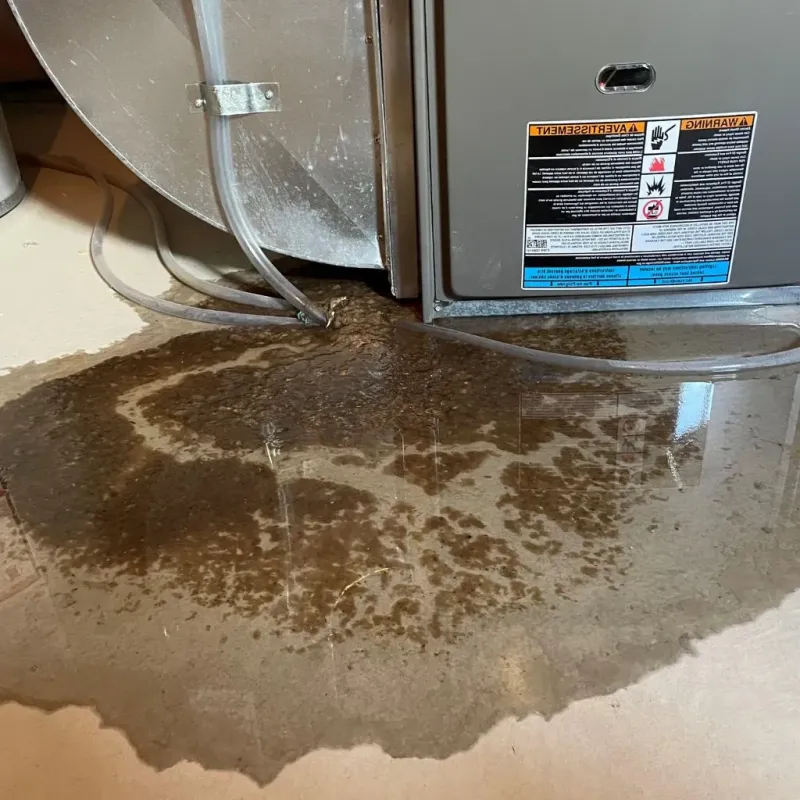 Pipe Burst and Leak Restoration in Deer Lodge, MT